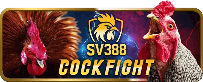 Các phương thức gửi tiền tại 86bet casino